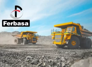 Ferbasa-2-e1734085670594.webp.webp