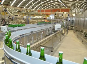 Heineken-abre-vagas-e1775074533122.webp.webp