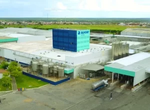 alvoar-producao-de-leite-e1748978219451