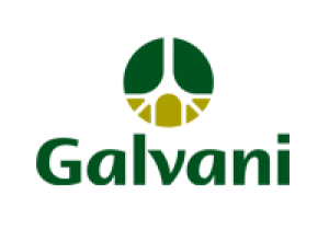 galvani-original.png
