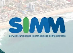 simm-10-2-e1749151965139.webp.webp