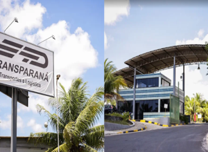 transparana.png