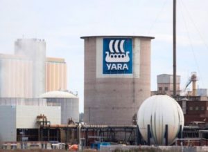yara201.jpg